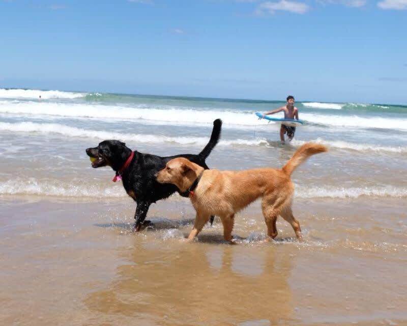 Boston House Near Parks Shops And Beaches Holiday home Torquay